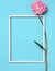 Pink, coral flower on. Place for inscription in frame