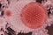 Pink coronavirus cells