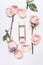 Pink cosmetic bottle with facial roses water or toner with essential oil , flowers and petals on white desk background, top view