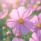 Pink cosmos bloom radiates beauty in a stunning garden setting