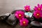 Pink Cosmos Flowers with black massage rocks, blue tealight candle with water droplets