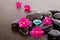 Pink Cosmos Flowers with black massage rocks, blue tealight candle with water droplets