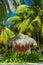 Pink cottage with a thatched roof on Caribbean beach