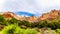 The Pink and Cream Peaks of the Sundial Mountain viewed from the Pa`rus Trail in Zion National Park, Utah