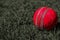 Pink cricket ball  on a green grass.