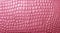 Pink crocodile leather texture.