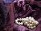 Pink cultured pearls on burgundy velvet crumpled dress background