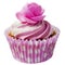 Pink Cupcake isolated