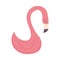 Pink cute flamingo bird tropical icon