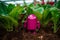 Pink cute robot among salad leaves. Generative AI