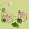 Pink cyclamen illustration