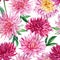 Pink dahlia flowers, floral background. Watercolor flora botanical illustration. Seamless patterns.