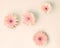 Pink daisies over pastel