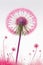 pink dandelion isolated summer graphic