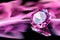 Pink diamond on reflective surface with pink blurry abstract background