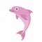 Pink dolphin. Vector illustration, on white.