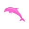 Pink Dolphin on White Background