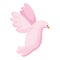pink dove bird flying