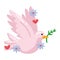 pink dove hippie culture