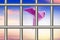 Pink dove, pigeon of peace in a cage on a sunset background. Freedom Concept.