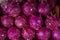 Pink dragonfruit on rustic market table. Ripe sweet dragon fruit. Colorful exotic fruit pile. Tropical fruit Pitahaya