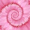 Pink Droste Spiral Flower Background Texture
