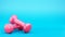 Pink dumbbells isolated on blue