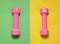 Pink dumbbells isolated on green yellow background with copy space. Womens fitness equipment