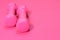 Pink dumbbells isolated on pink background with copy space. Womens fitness equipment