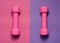 Pink dumbbells isolated on pink purple background with copy space. Womens fitness equipment