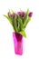 Pink Dutch tulips in vase