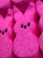 Pink Easter Peeps