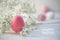 Pink egg and gypsophila baby breath flower on white painted ru