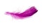 Pink elegant bird feather isolated on the white background