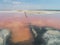 Pink extremely salty Syvash Lake, colored by microalgae with crystalline salt depositions. Crimea