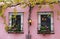 Pink facade of a beautiful old house with a vine plant