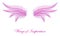 Pink Fairy Wings - Fairytale Faerie Wings of Dreams