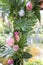 Pink fake flamingo wedding decoration with anthurium flowers and