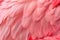 Pink Feathers Background, Flamingo Plume Pattern, Wings Feather Texture with Copy Space