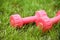 Pink female dumbbells on a grass