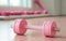 pink female dumbbells and a skipping rope on a light wooden floor on light sports hall background