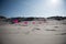 Pink Flags on the Beach