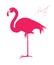 Pink flamingo