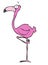 Pink Flamingo