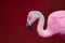Pink flamingo against red background. Vivid contemporary wildlife image.