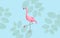 Pink flamingo bird over blue background