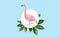 Pink flamingo bird over blue background