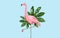 Pink flamingo bird over blue background