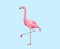 Pink flamingo bird over blue background