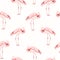 Pink flamingo bird standing seamless pattern